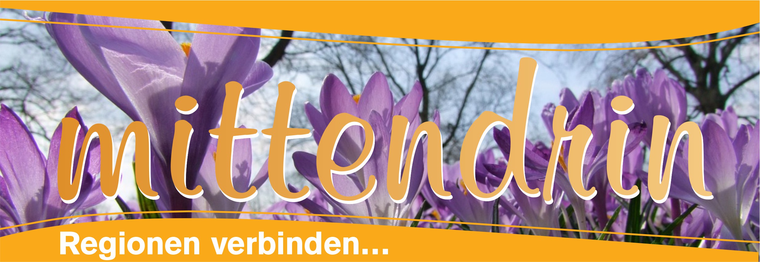 Titelbild Startseite